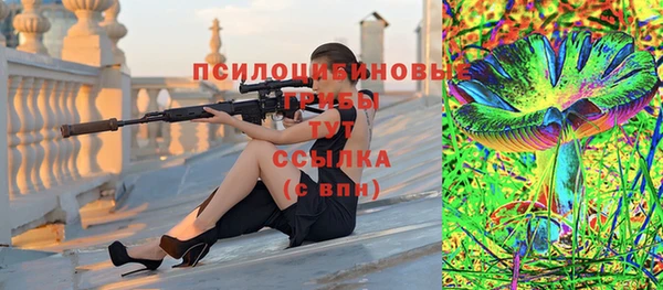 ешки Пестово