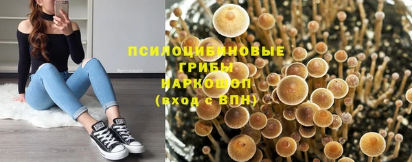 соль курить ск Пересвет