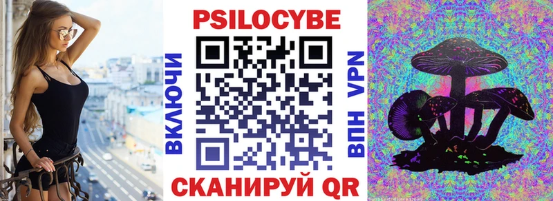 Купить закладки Шагонар Галлюциногенные грибы MAGIC MUSHROOMS